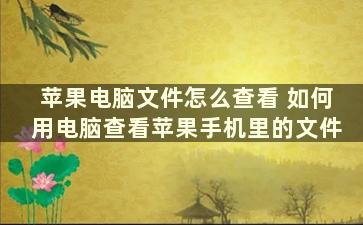 苹果电脑文件怎么查看 如何用电脑查看苹果手机里的文件